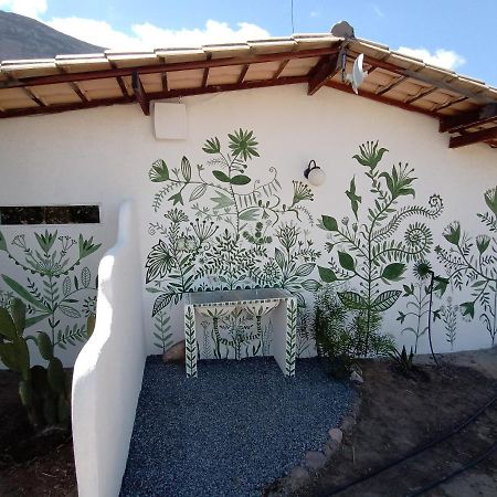 Terra De Aruanda Pousada Palmeiras  Exterior foto